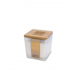Bambou gingembre-lys pm