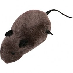 Souris grande remontable