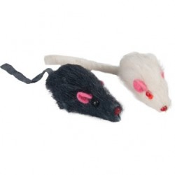 Souris x2 /carte