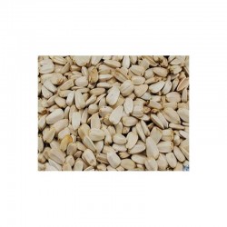 GRAINES DE TOURNESOL BLANC 1KG