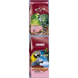 Amazone parrot 1kg  loro...