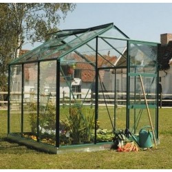 Serre ivy 5m2 couleur