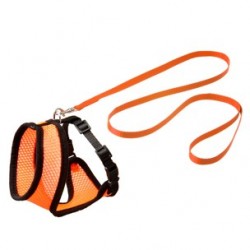 Set harnais chaton or/no 10mm