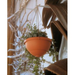 Suspension eolia avec...