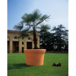 Pot cilindro d. 90 terra di...
