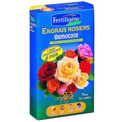 Engrais rosier osmocote