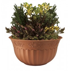 Coupe thula d20cm sierra