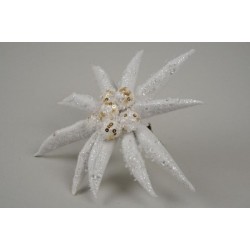 Edelweiss mousse blanche...