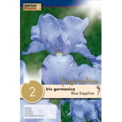 Bulbes d'iris germanica...