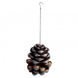 Pomme de pin alimentaire...