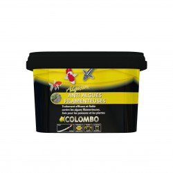 Colombo algisin...