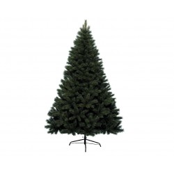 Sapin canada nf Ø150-H240