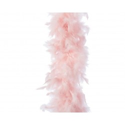 Guirlande plume boa...