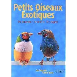 Petits oiseaux exotiques