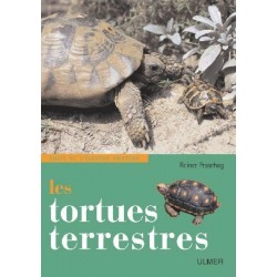 Tortues terrestres
