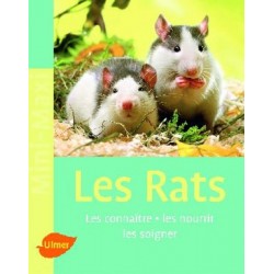 Rats (les)