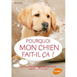Pourquoi mon chien fait-il...