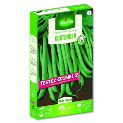HARICOT vert sans fil...