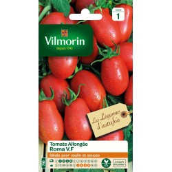 TOMATE allongée Roma v.f...