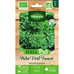 PERSIL Frisé vert foncé AB...