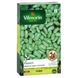Flageolet flavert