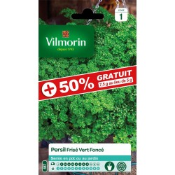 PERSIL FRISÉ 50% gratuit...