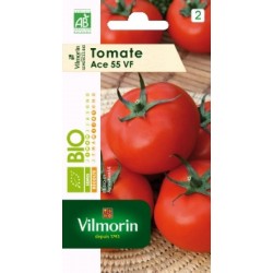 Tomate ace bio