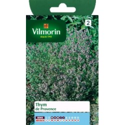 Thym de provence