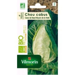 Chou cab.coeur boeuf