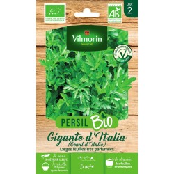 PERSIL Géant d'italie AB...