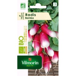 Radis bamba bio