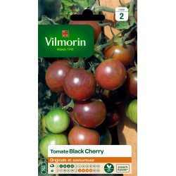 TOMATE Black cherry SACHET...