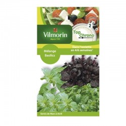 Top chrono melange basilic...