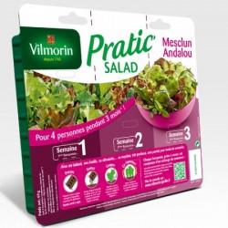 Pratic salad mesclun andalou