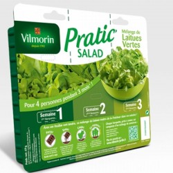 Pratic salad laitues vertes