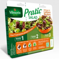 Pratic salad laitues vertes...