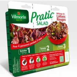 Pratic salad laitues rouges