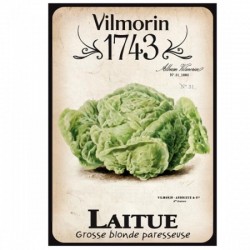 Vimorin 1743 - laitue...