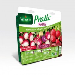 Pratic radis