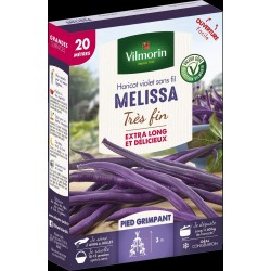 HARICOT violet très fin...