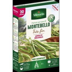 HARICOT vert très fin sans...