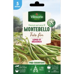 HARICOT vert très fin sans...