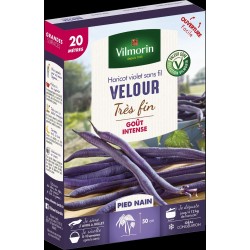 HARICOT violet très fin...