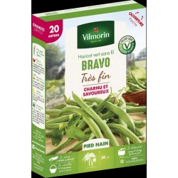HARICOT vert très fin sans...