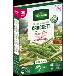 HARICOT vert très fin sans...