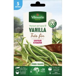HARICOT vert très fin sans...