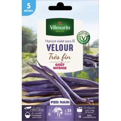 HARICOT violet très fin...