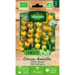 TOMATE Cereza amarilla AB...