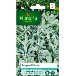 SAUGE Officinale SACHET...
