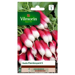 RADIS Flamboyant 5 SACHET...